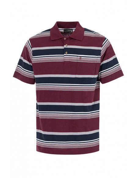 Polo manches courtes - Rayé Magasins Bleus