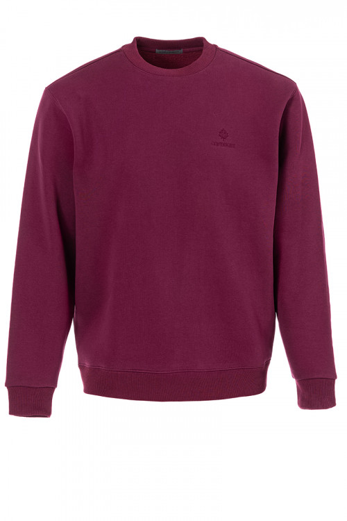 SWEAT RAS DE COU - MANCHES LONGUES  - 1