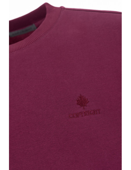 Sweat ras du cou Magasins Bleus