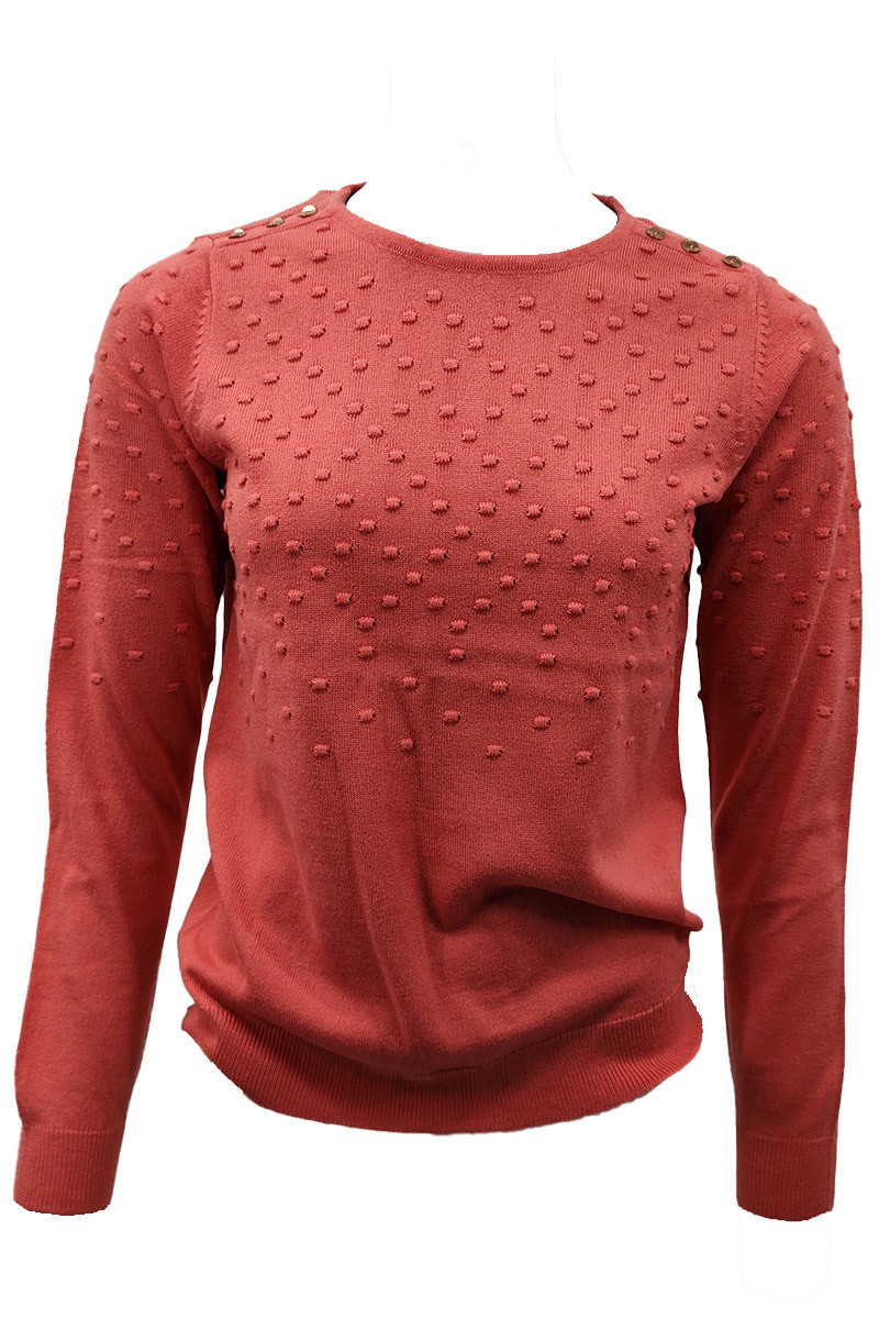 Pull femme ras de cou Magasins Bleus