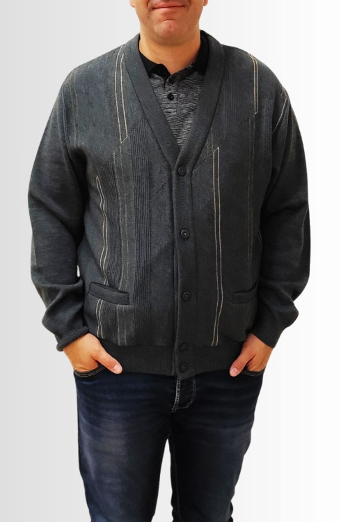 Gilet col V  - 1